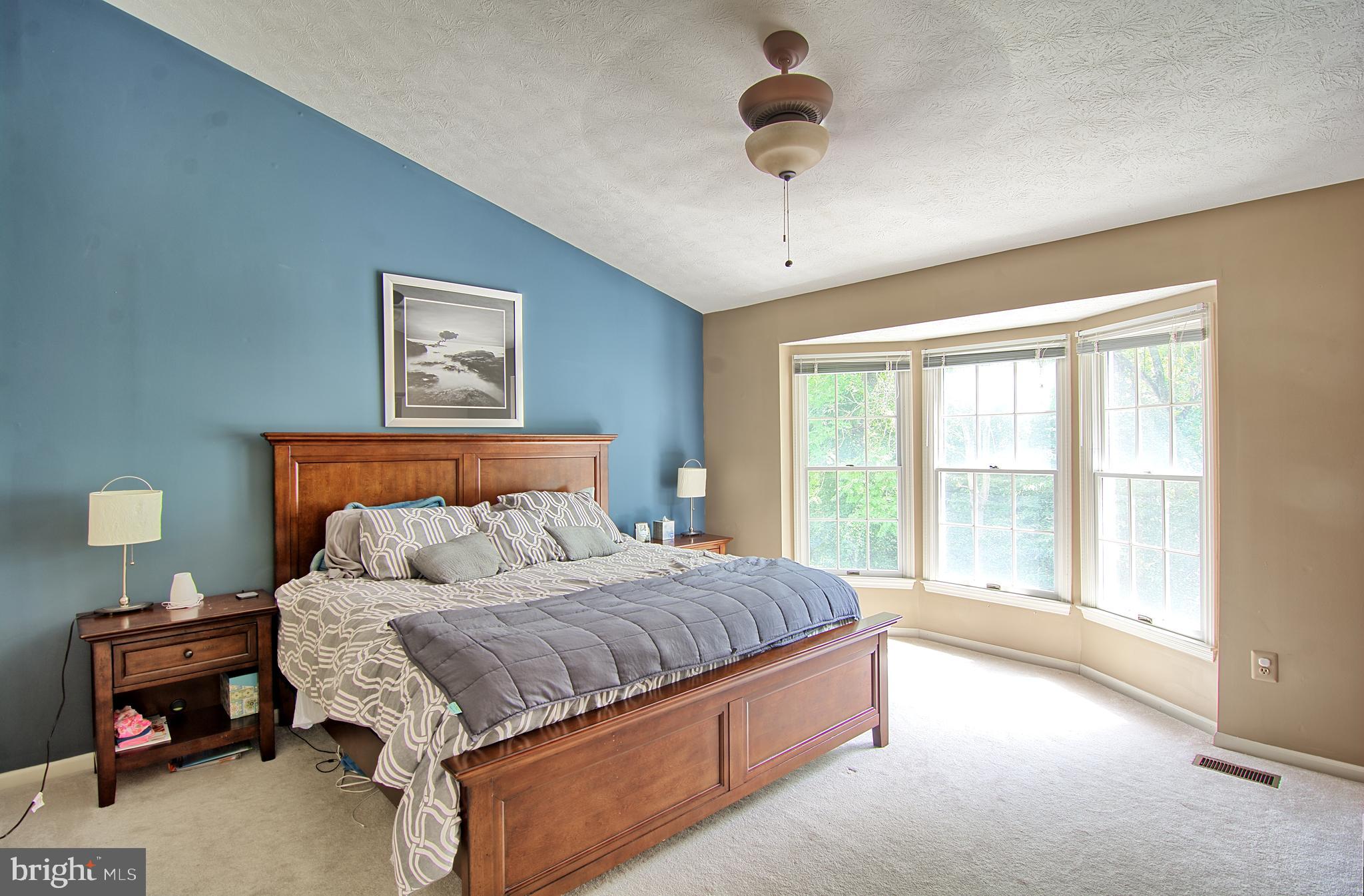 2733 Quarry Heights Way Baltimore, MD 21209 - Photo 21 of 38 Master Bedroom w/ Vaulted Ceiling and Walk-in