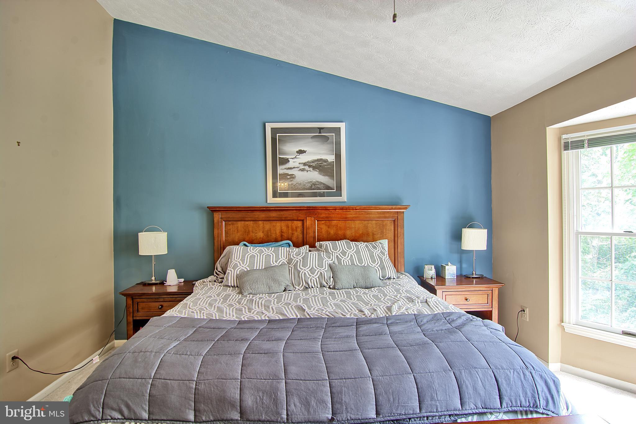 2733 Quarry Heights Way Baltimore, MD 21209 - Photo 22 of 38 Master Bedroom w/ Vaulted Ceiling and Walk-in