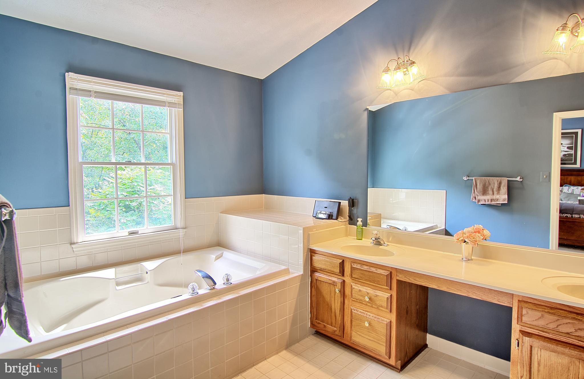 2733 Quarry Heights Way Baltimore, MD 21209 - Photo 23 of 38 Large Master Bath w/ Separate Bath and Shower
