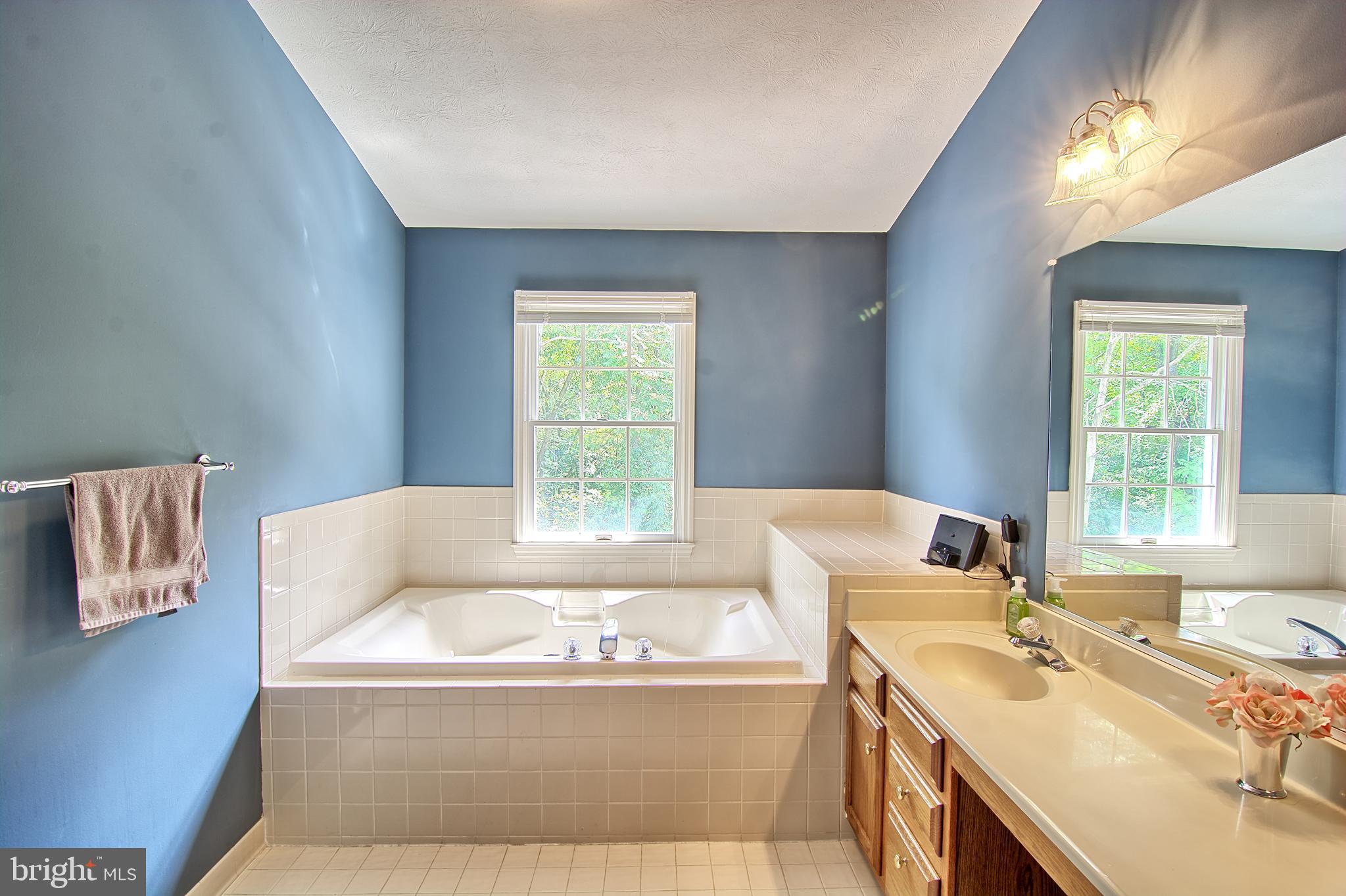 2733 Quarry Heights Way Baltimore, MD 21209 - Photo 24 of 38 Large Master Bath w/ Separate Bath and Shower