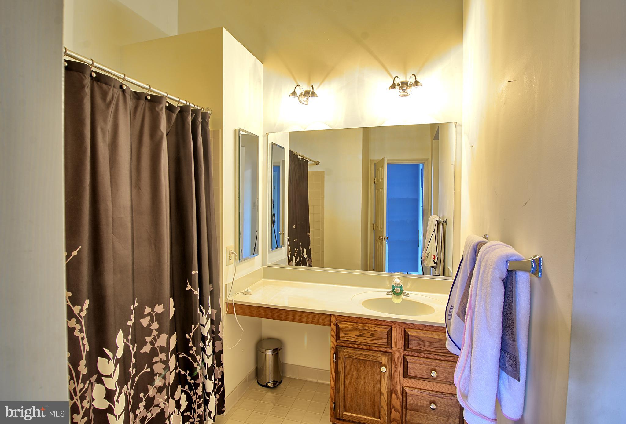 2733 Quarry Heights Way Baltimore, MD 21209 - Photo 29 of 38 Large Vaulted Ceiling Upstairs Bath