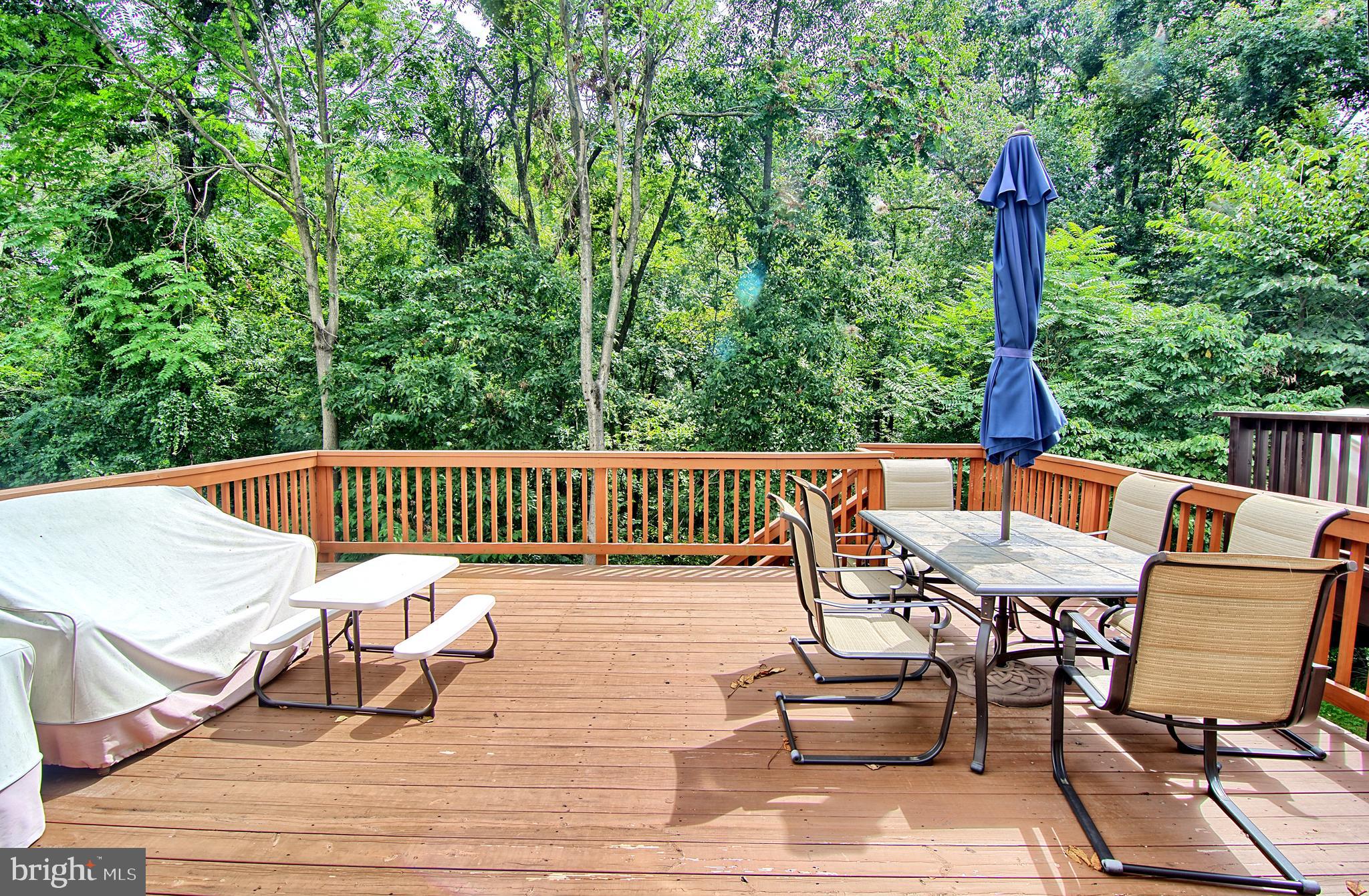 2733 Quarry Heights Way Baltimore, MD 21209 - Photo 38 of 38 Over-sized Deck Backs to Woods