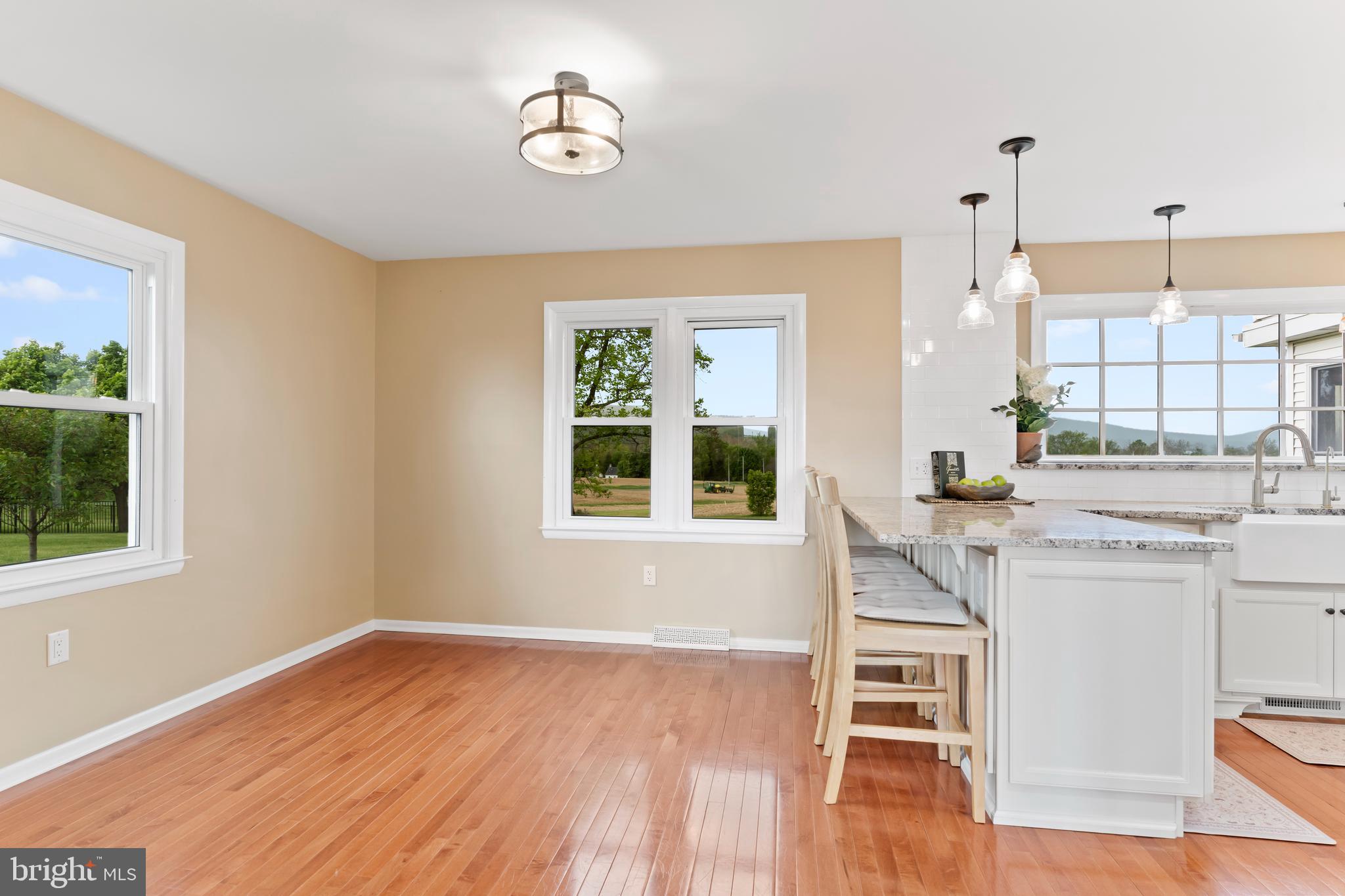 1393 Lutztown Road Boiling Springs, PA 17007 - Photo 12 of 44 Gallery Image 12