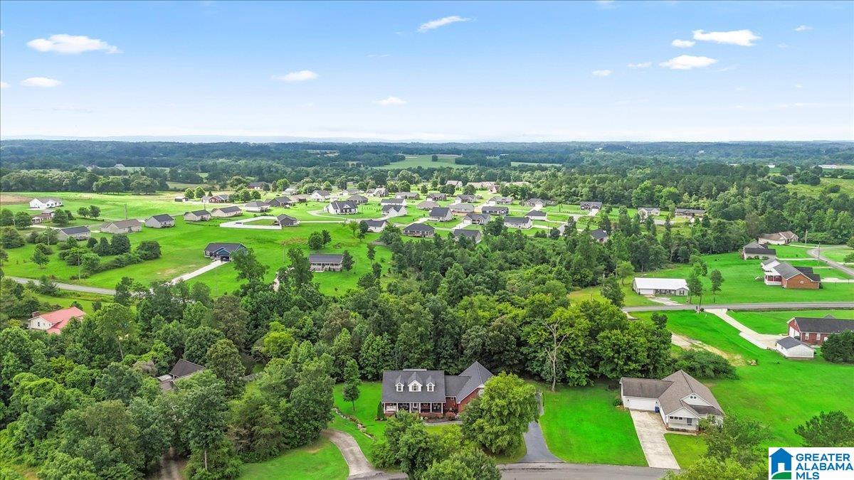 190 Creek Drive Rainsville, AL 35986 - Photo 12 of 44