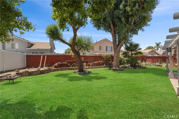a view of yard with grass and a palm tree