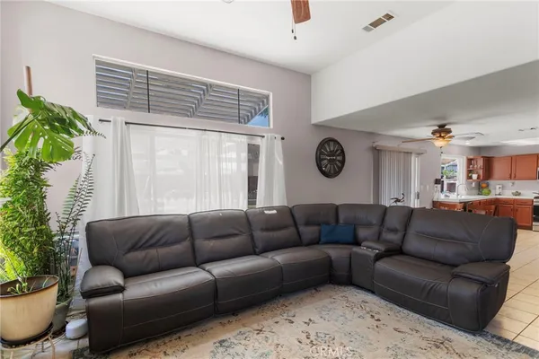 a living room with furniture a couch and a potted plant