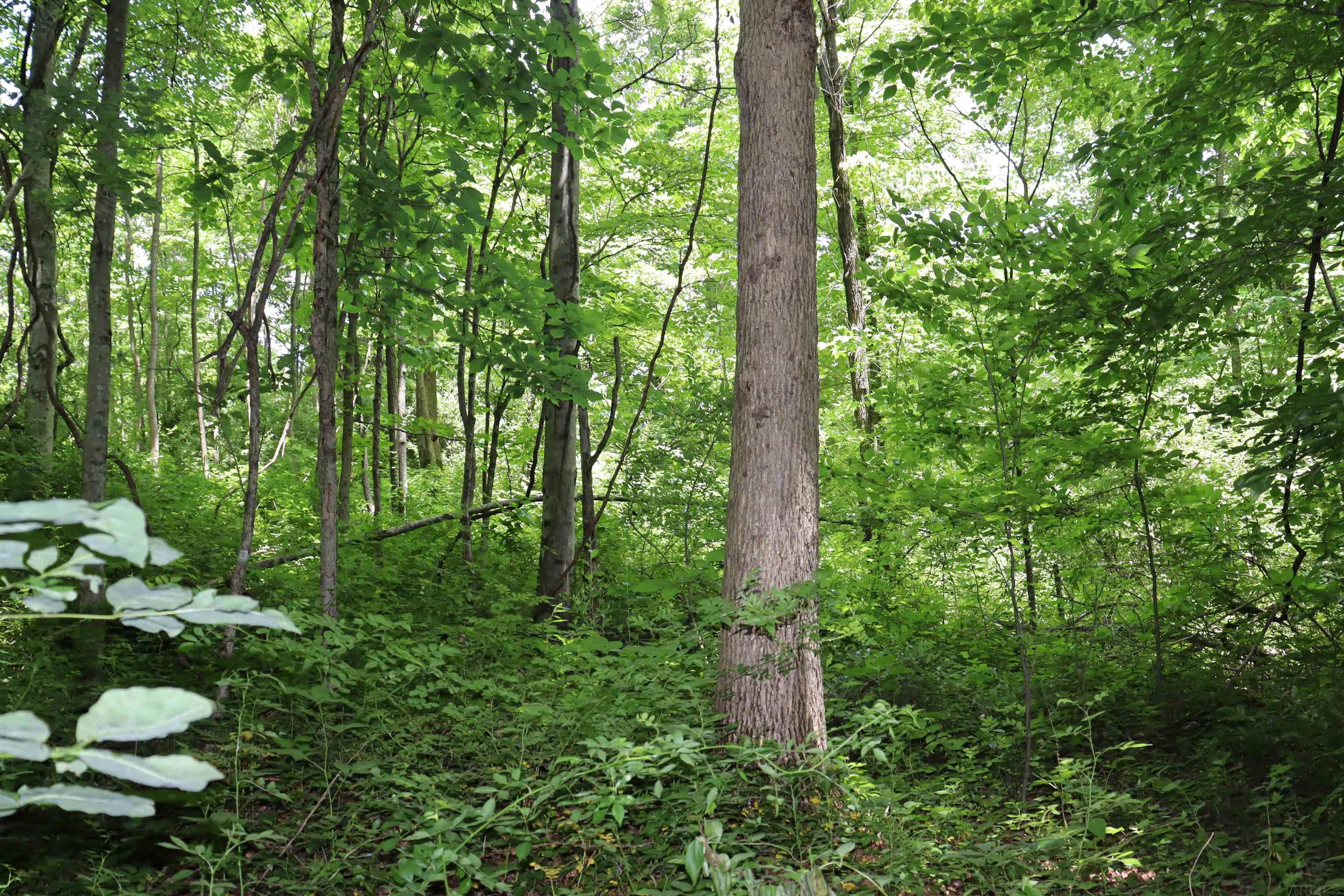 8100 Rubeck Poland, IN 47868 - Photo 20 of 30 Gallery Image 20