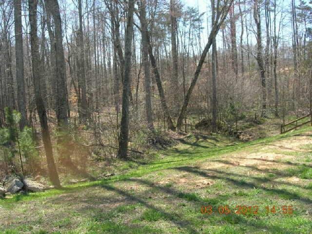0 Petit Road, Unit LT 110 Jasper, GA 30143 - Photo 1 of 1