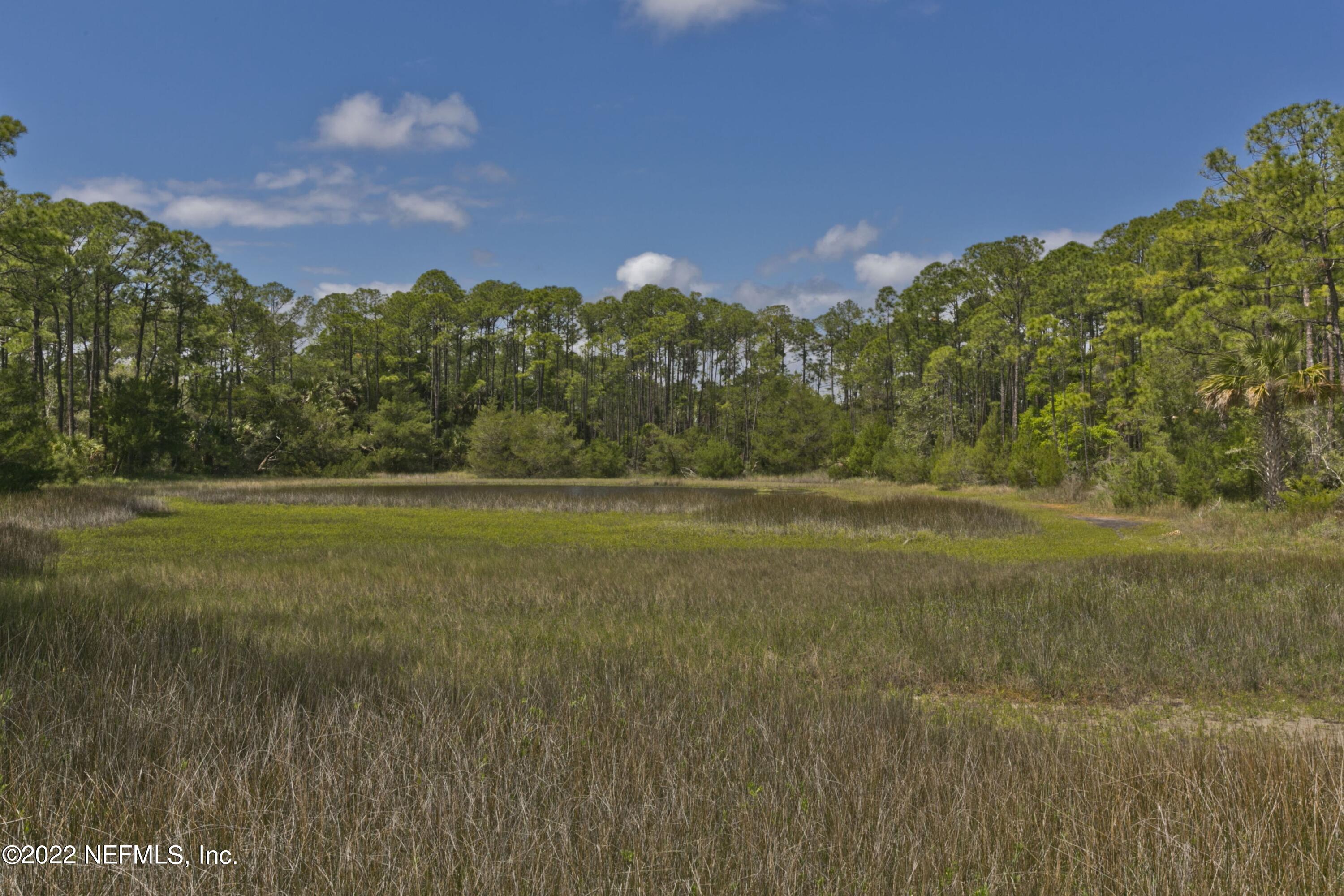 649 Treehouse Circle St. Augustine, FL 32095 - Photo 71 of 71 a view of a field with trees in the background