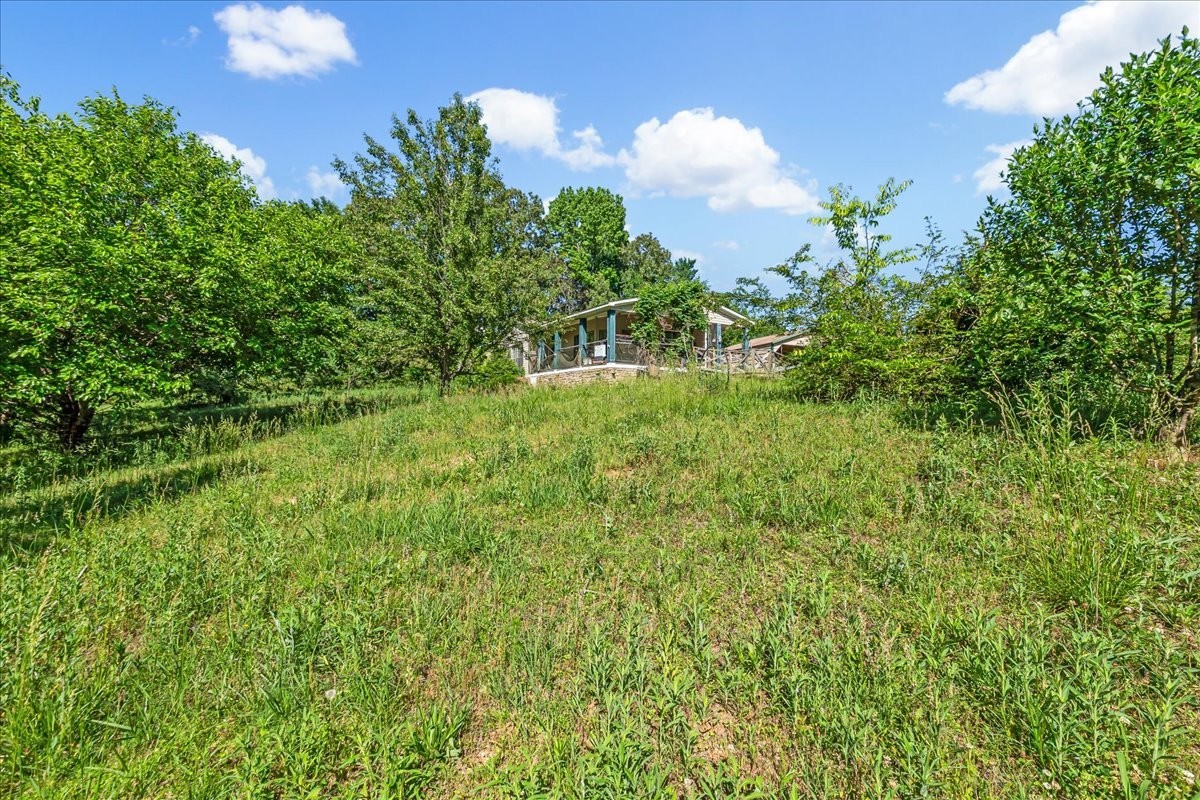 4915 Clifford Road Luray, TN 38352 - Photo 10 of 10