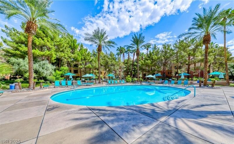 260 East Flamingo Road, Unit 203 Las Vegas, NV 89169 - Photo 5 of 38