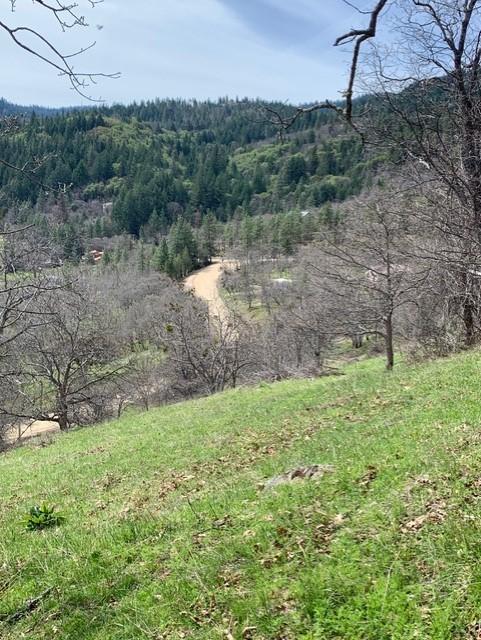 500 Conifer Way Ashland, OR 97520 - Photo 7 of 11 More view