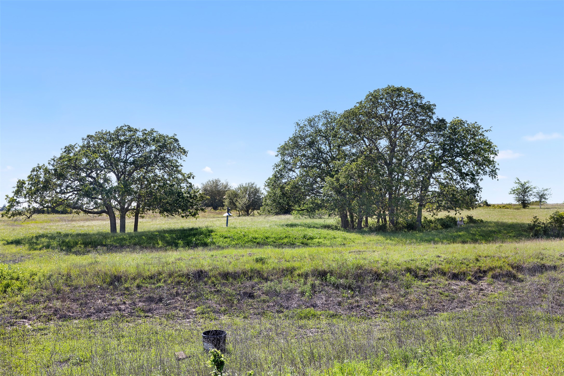 1310 North Nassau Road Round Top, TX 78954 - Photo 12 of 24