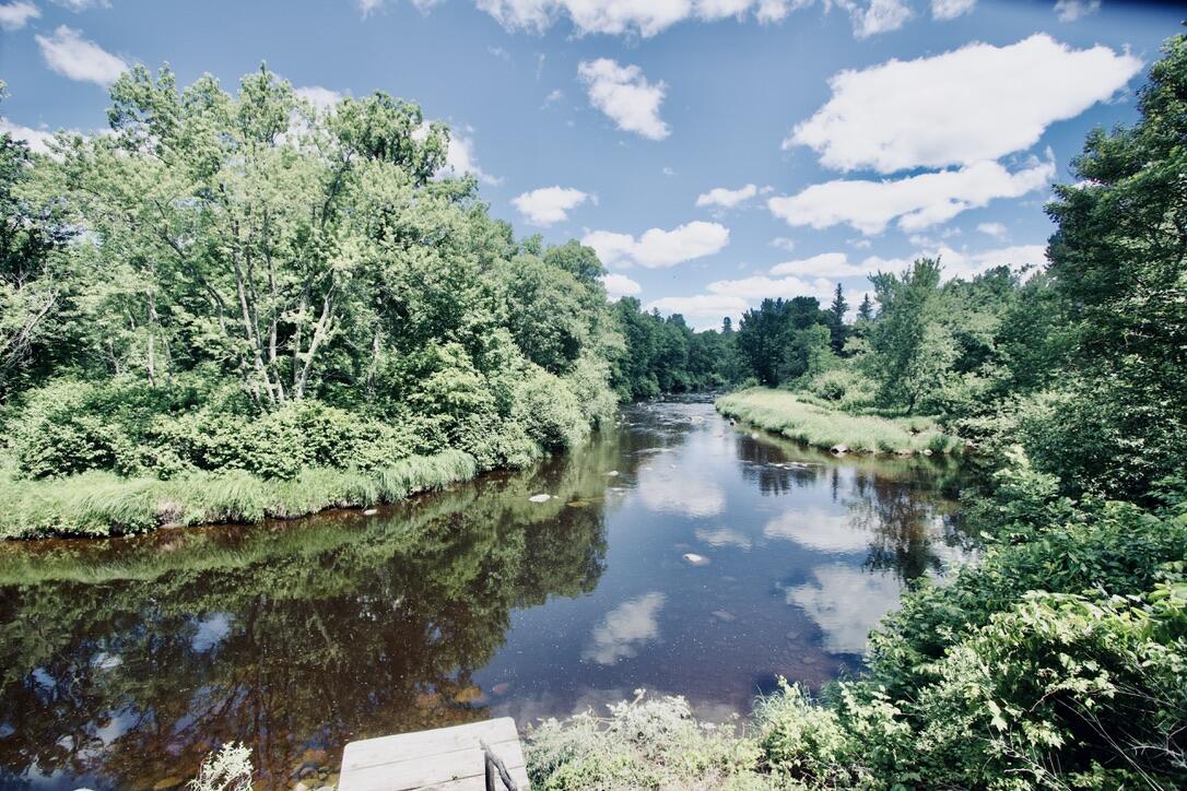 N1742 County Road North Kennan, WI 54537 - Photo 51 of 61 River