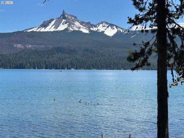 80 Diamond Lake Loop Chemult, OR 97731 - Photo 17 of 25