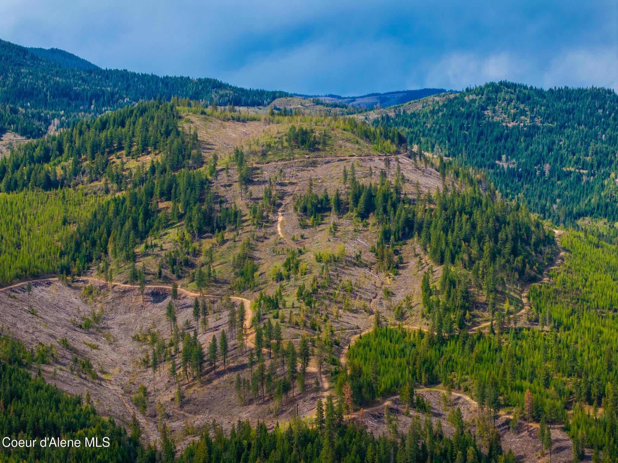 17461 North Right Fork Road Post Falls, ID 83854 - Photo 105 of 107 DJI_20260424062035_0955_D-HDR