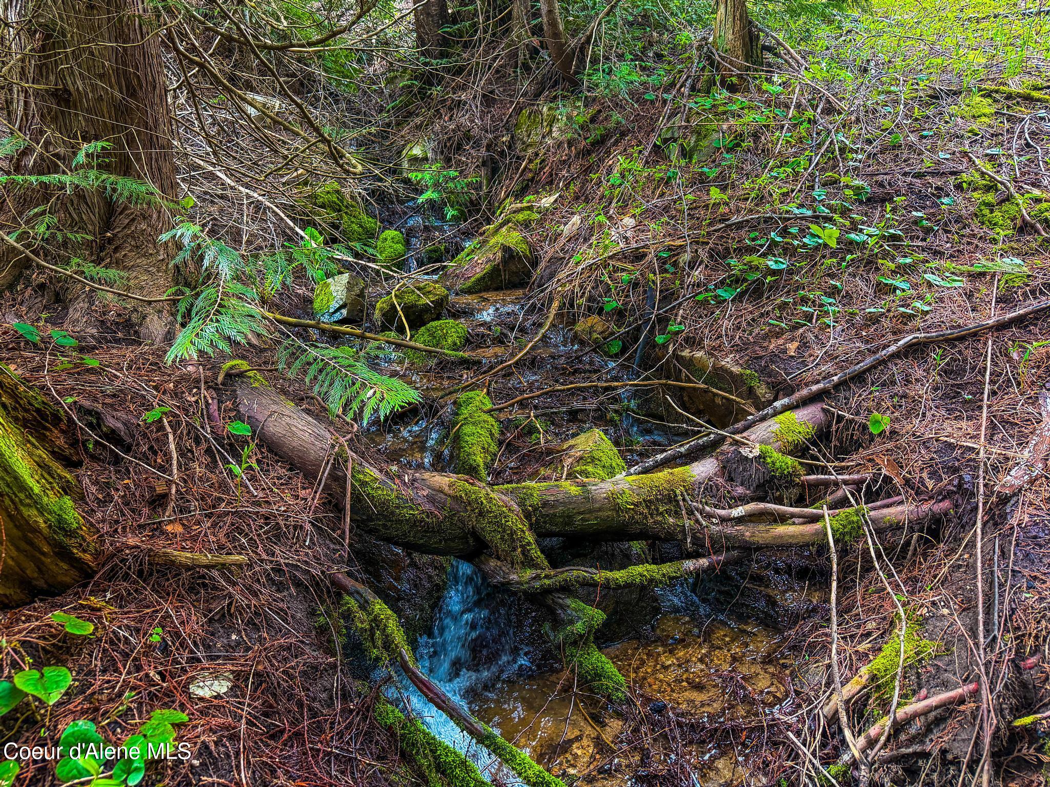 17461 North Right Fork Road Post Falls, ID 83854 - Photo 68 of 107 IMG_1515