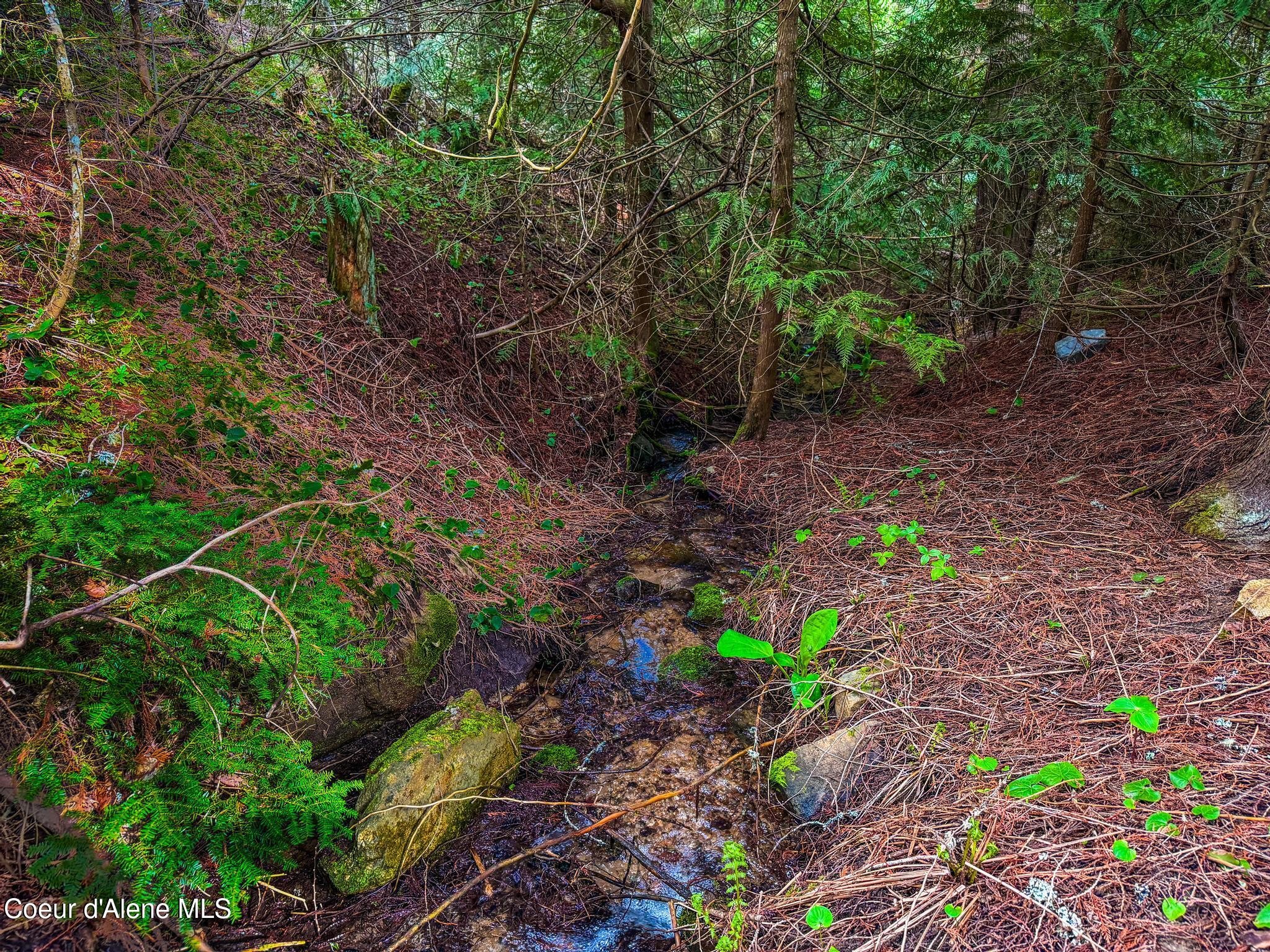 17461 North Right Fork Road Post Falls, ID 83854 - Photo 69 of 107 IMG_1518