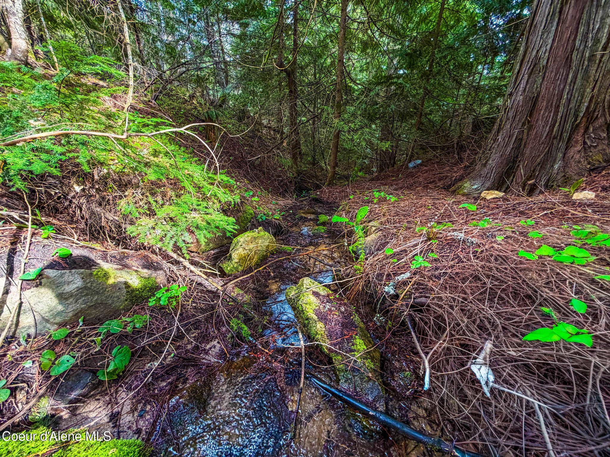 17461 North Right Fork Road Post Falls, ID 83854 - Photo 70 of 107 IMG_1521