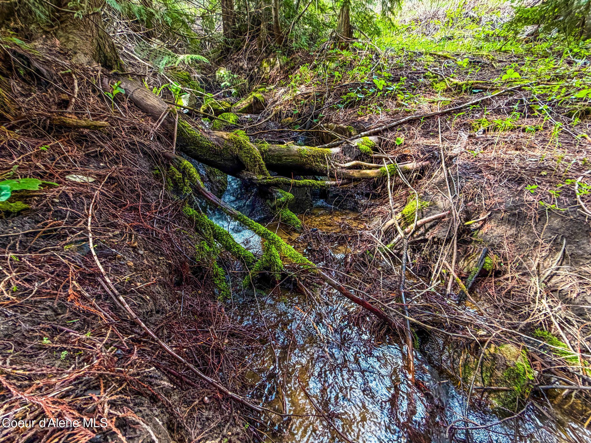 17461 North Right Fork Road Post Falls, ID 83854 - Photo 71 of 107 IMG_1522