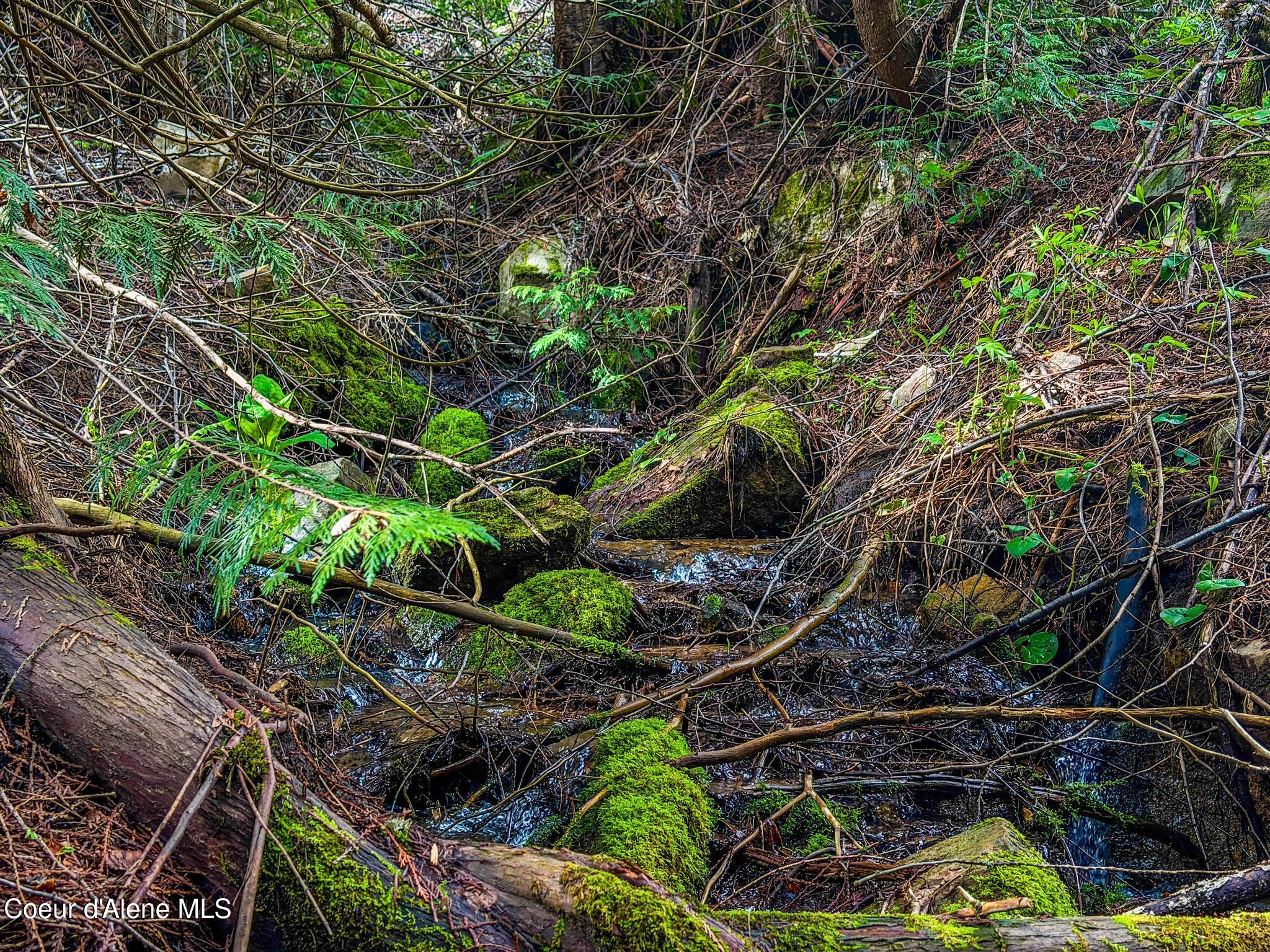 17461 North Right Fork Road Post Falls, ID 83854 - Photo 73 of 107 IMG_1524