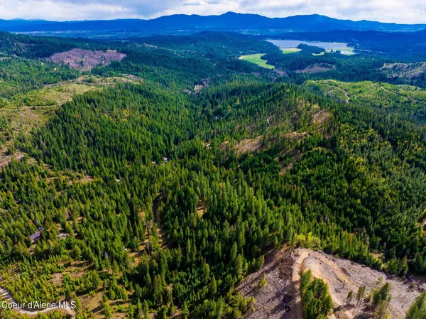 $999,900 | 17461 North Right Fork Road, Post Falls, ID 83854