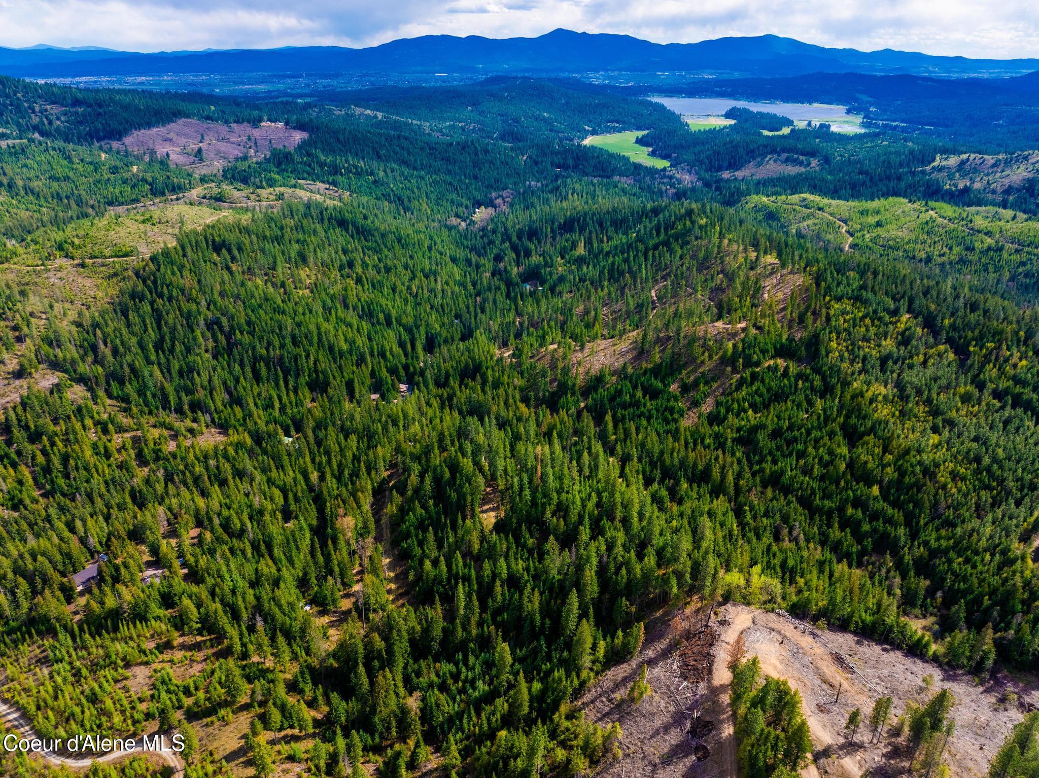 17461 North Right Fork Road Post Falls, ID 83854 - Photo 74 of 107 DJI_20260424062505_0987_D-HDR