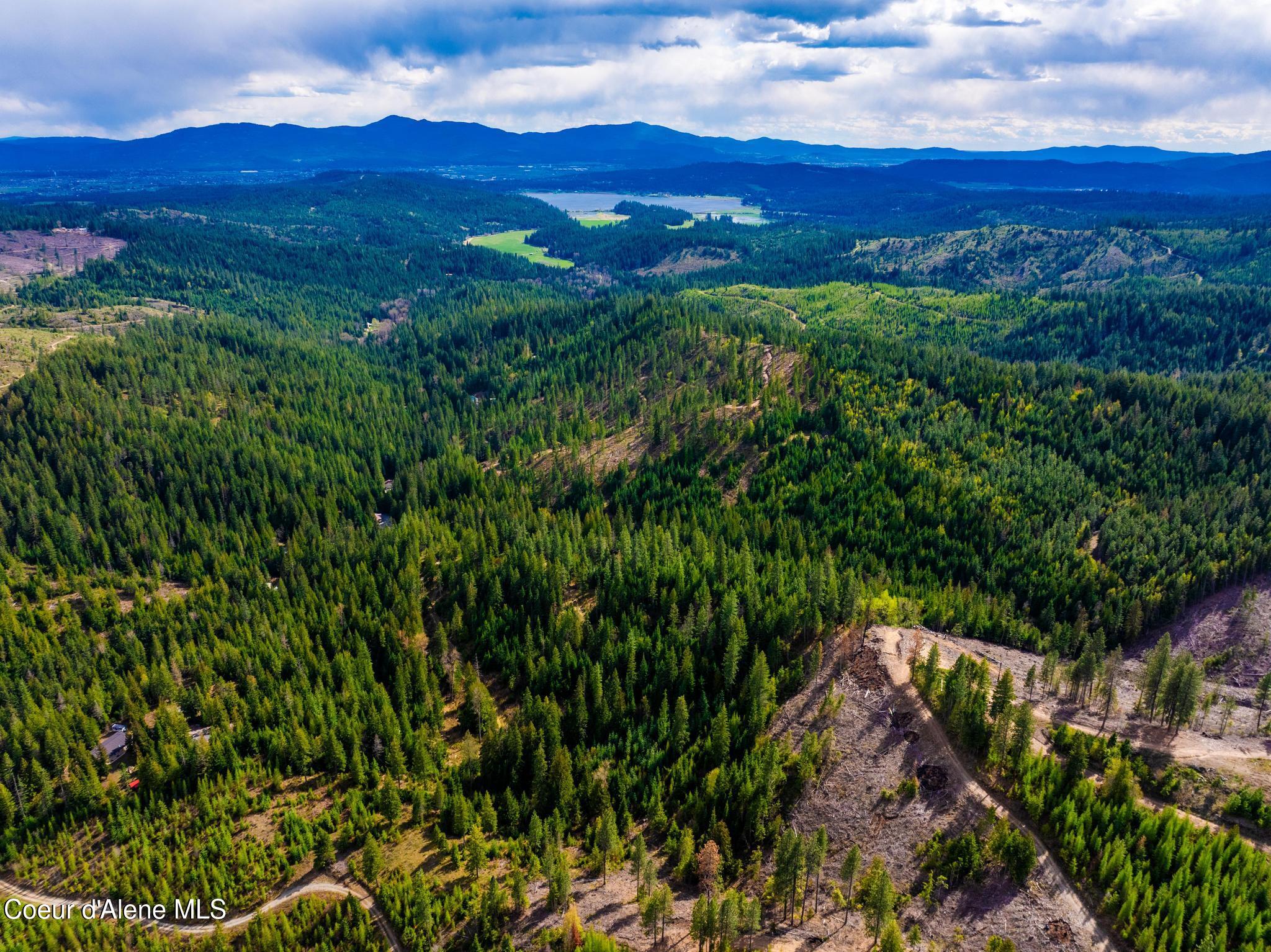 17461 North Right Fork Road Post Falls, ID 83854 - Photo 75 of 107 DJI_20260424062527_0003_D-HDR
