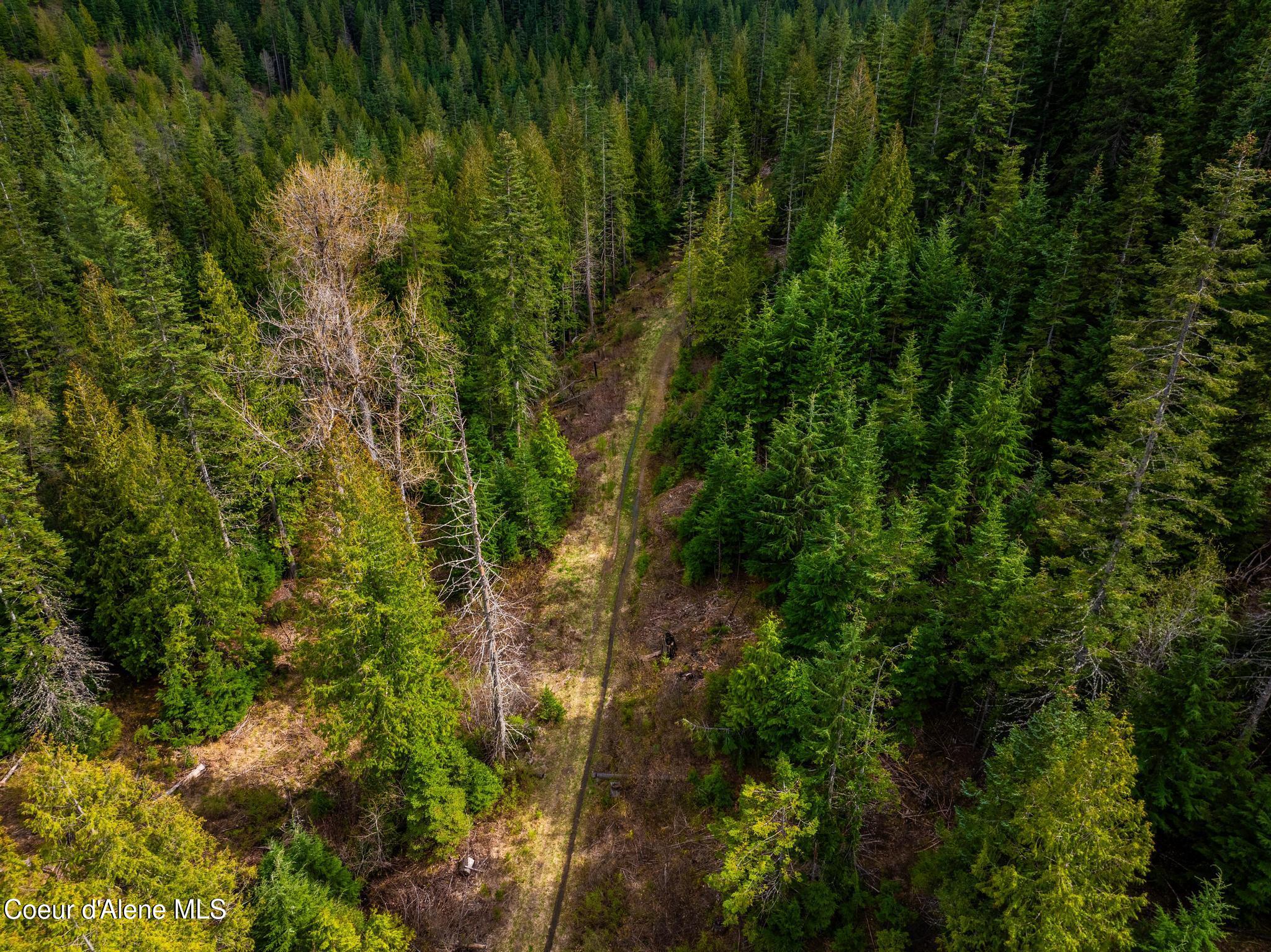17461 North Right Fork Road Post Falls, ID 83854 - Photo 80 of 107 DJI_20260424063140_0066_D-HDR