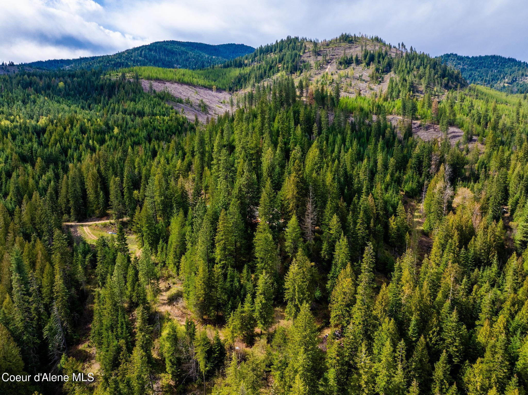 17461 North Right Fork Road Post Falls, ID 83854 - Photo 83 of 107 DJI_20260424063329_0093_D-HDR