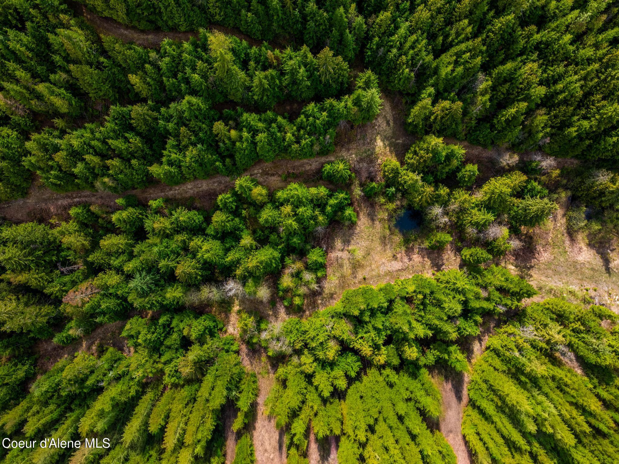 17461 North Right Fork Road Post Falls, ID 83854 - Photo 84 of 107 DJI_20260424063522_0129_D-HDR