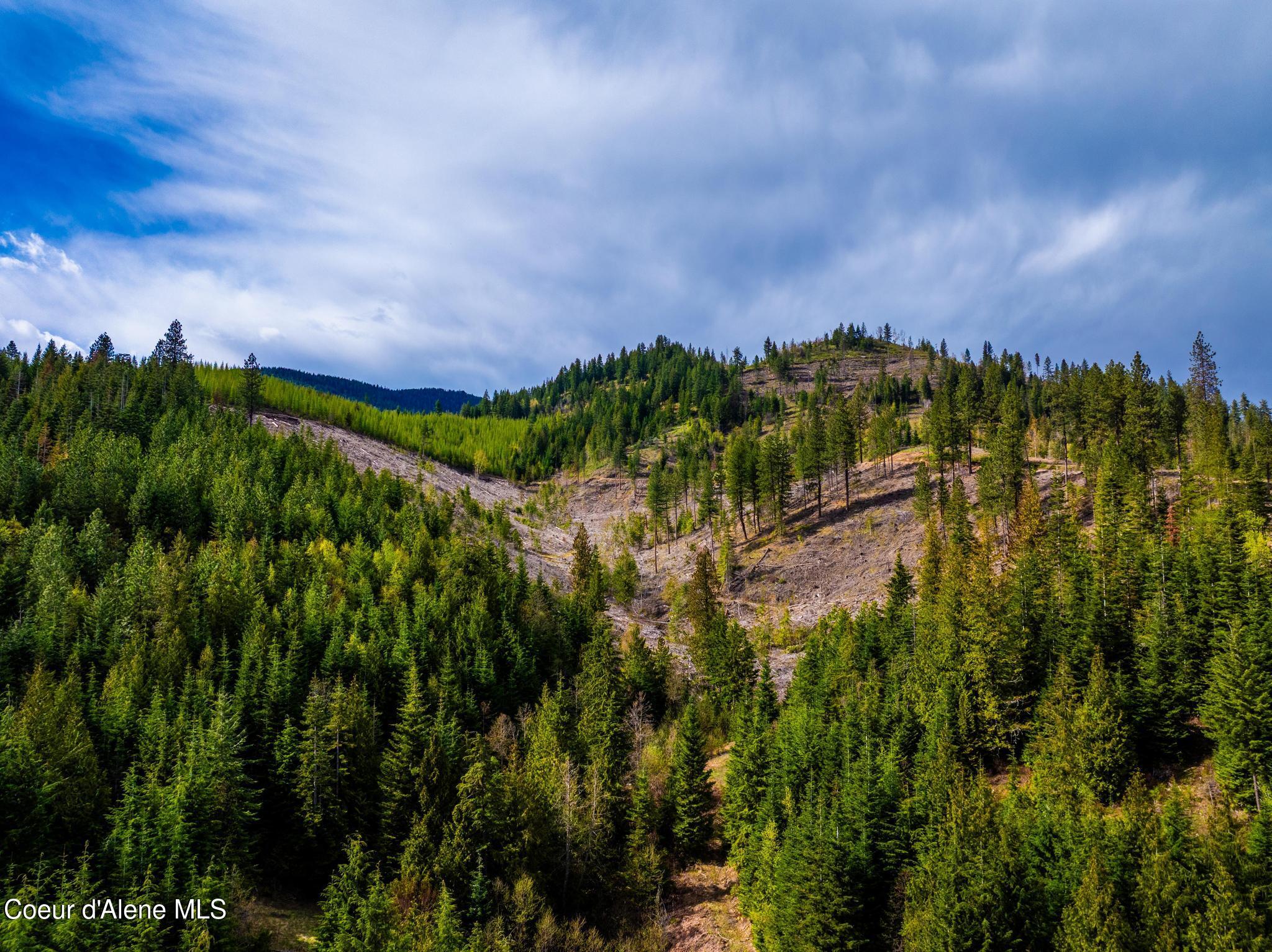17461 North Right Fork Road Post Falls, ID 83854 - Photo 85 of 107 DJI_20260424063557_0135_D-HDR