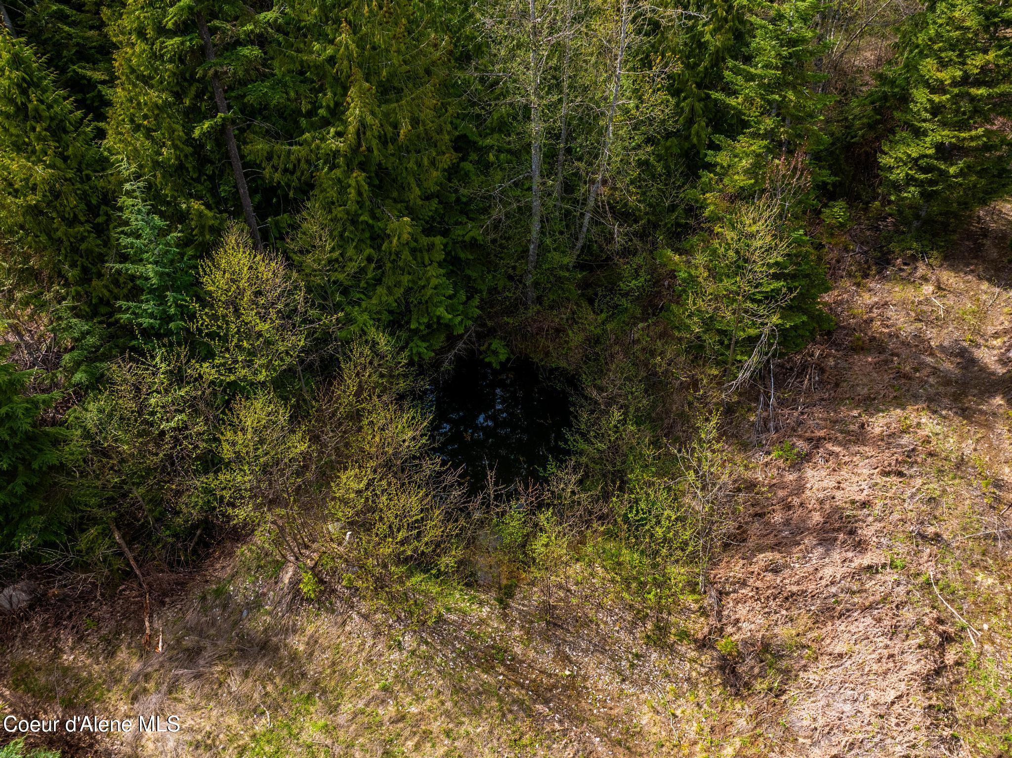17461 North Right Fork Road Post Falls, ID 83854 - Photo 86 of 107 DJI_20260424063611_0145_D-HDR