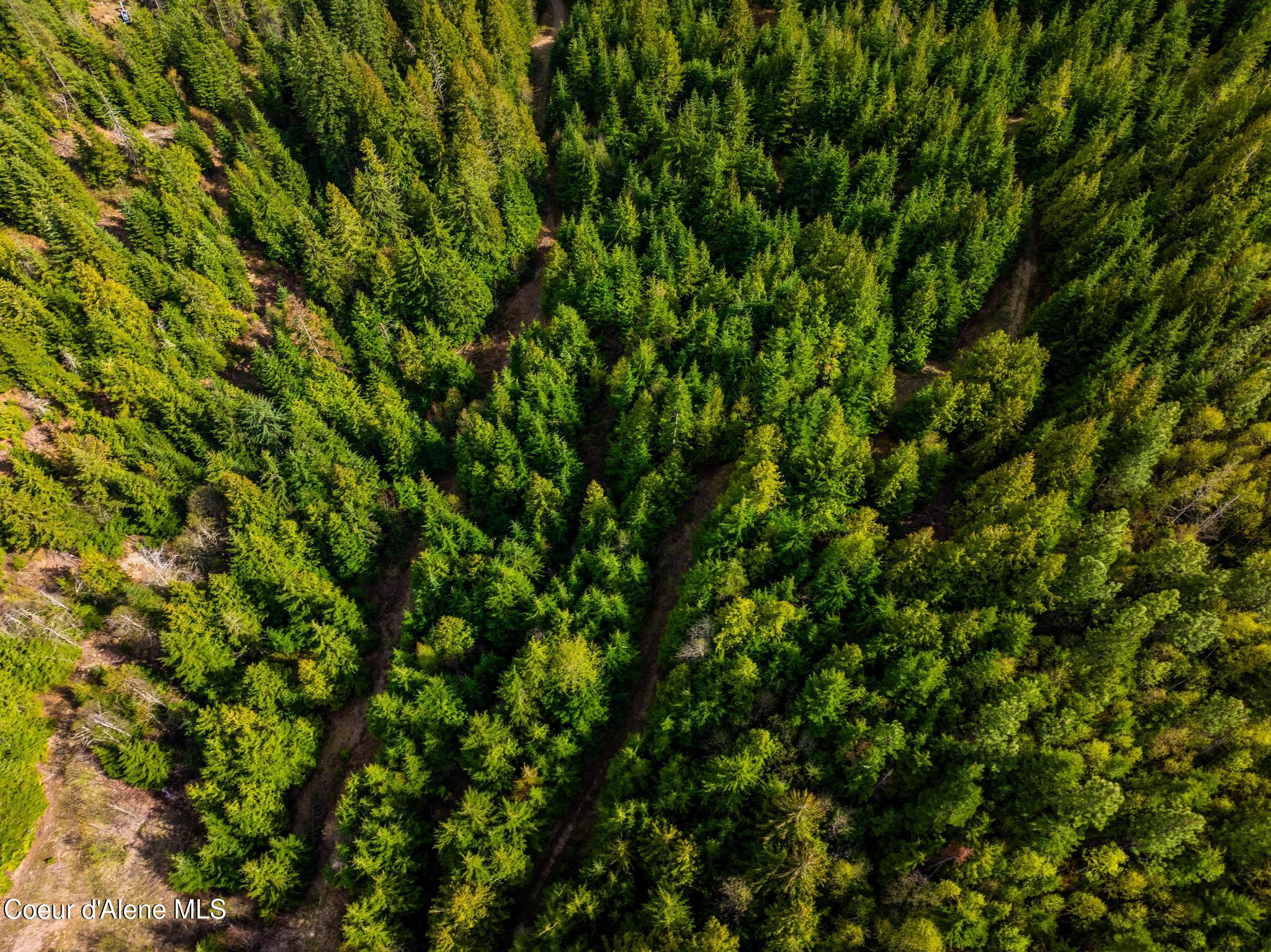 17461 North Right Fork Road Post Falls, ID 83854 - Photo 88 of 107 DJI_20260424063705_0156_D-HDR
