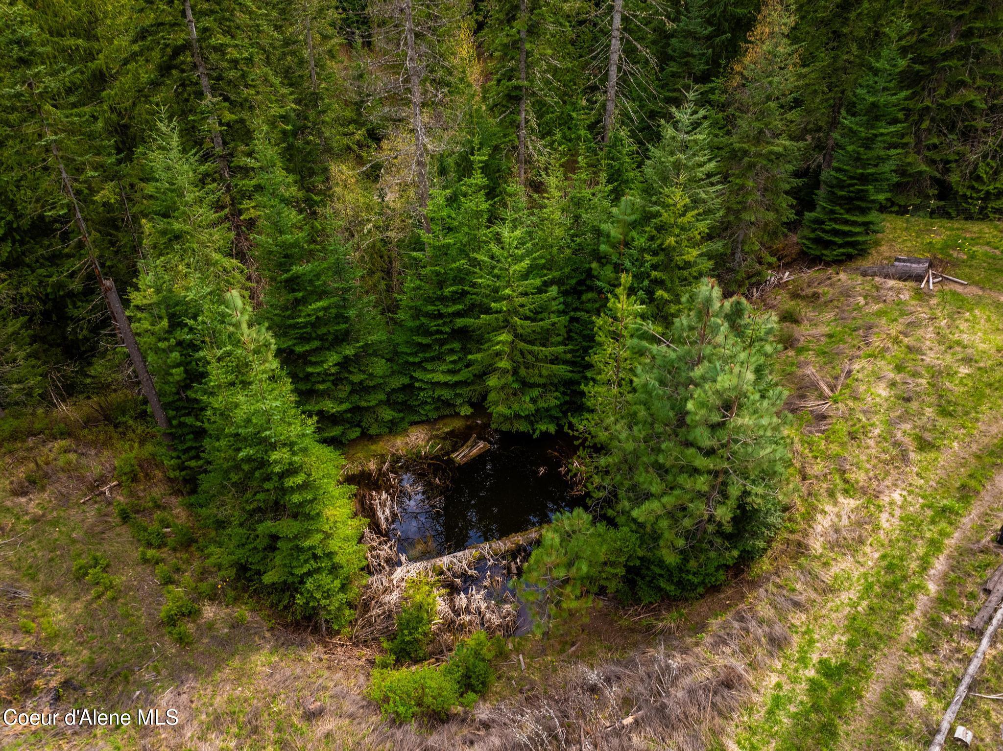 17461 North Right Fork Road Post Falls, ID 83854 - Photo 90 of 107 DJI_20260424064030_0187_D-HDR