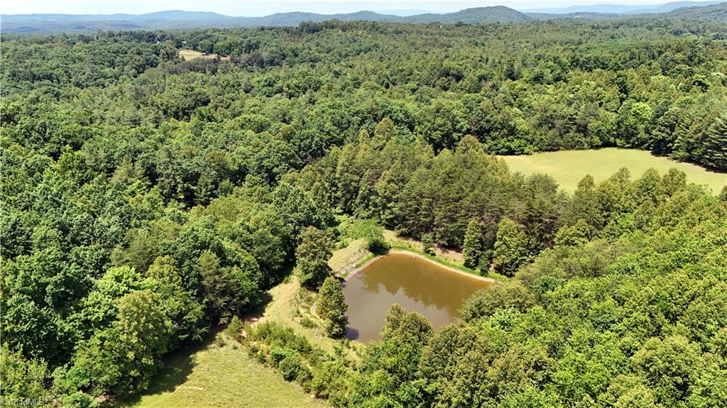975 Cox Ridge Road Claudville, VA 24076 - Photo 37 of 50