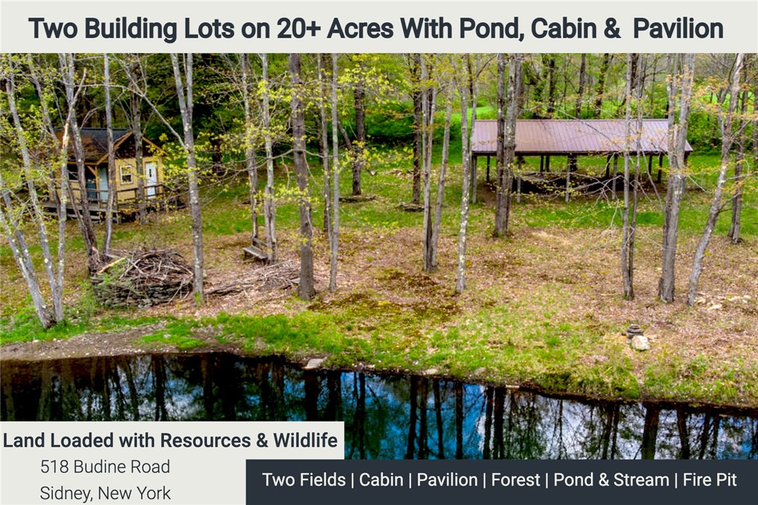 0 Budine Road Sidney Center, NY 13839 - Photo 1 of 1 Gallery Image 1