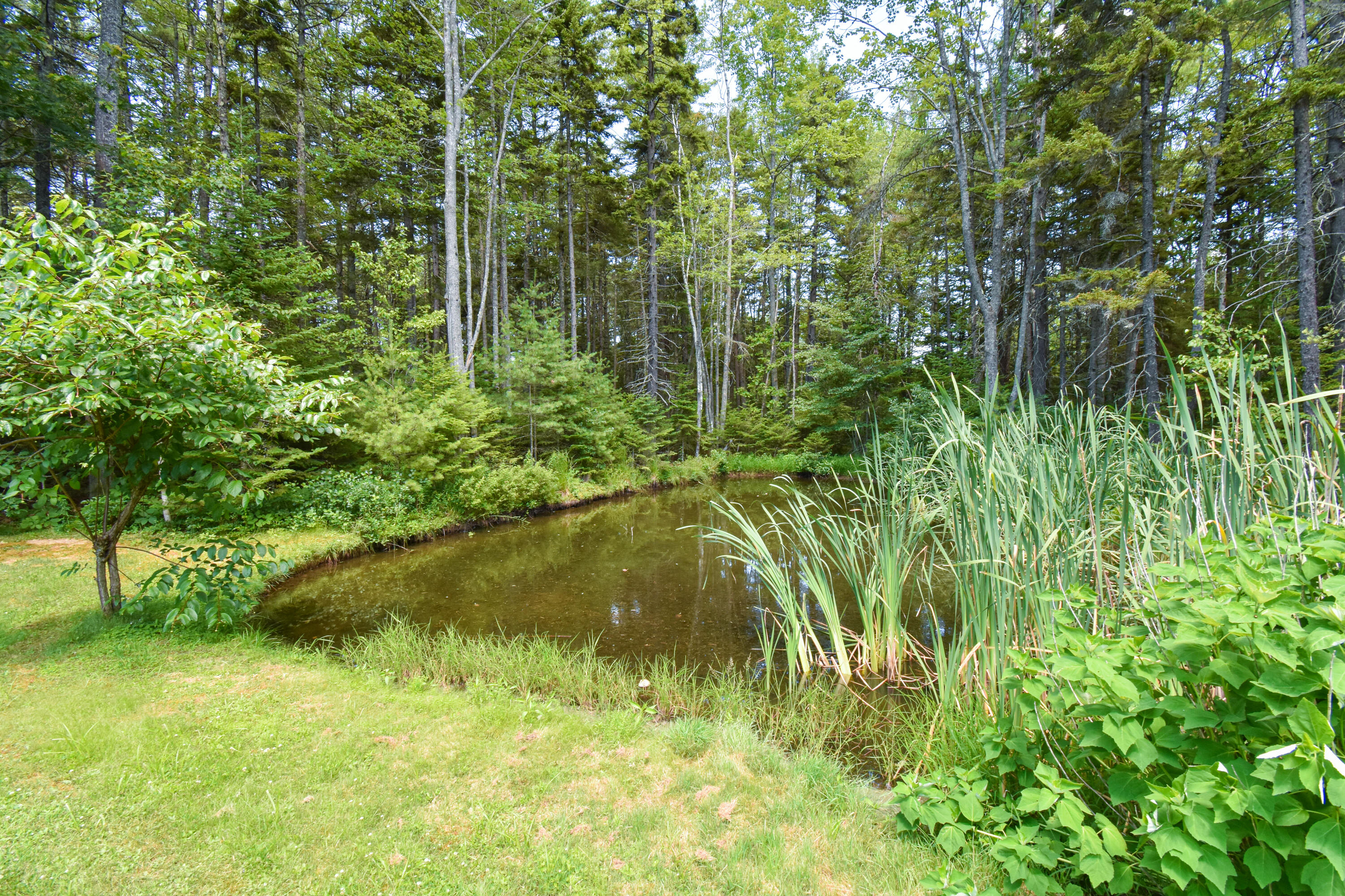 27 Libby Lane Brunswick, ME 04011 - Photo 49 of 71 27LibbyLn.Brunswick-46