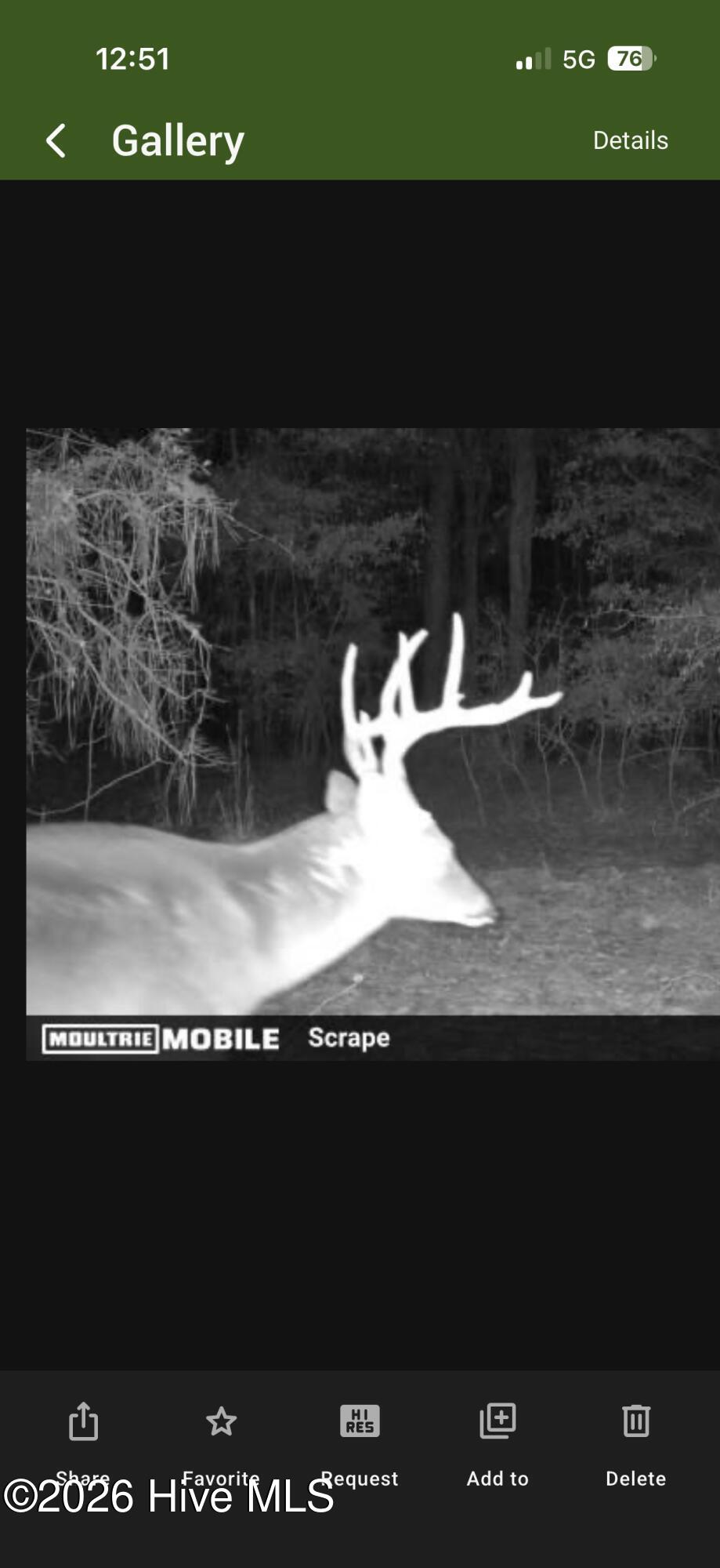 0 Warbonnet Road Springfield, SC 29146 - Photo 13 of 16 IMG_3645