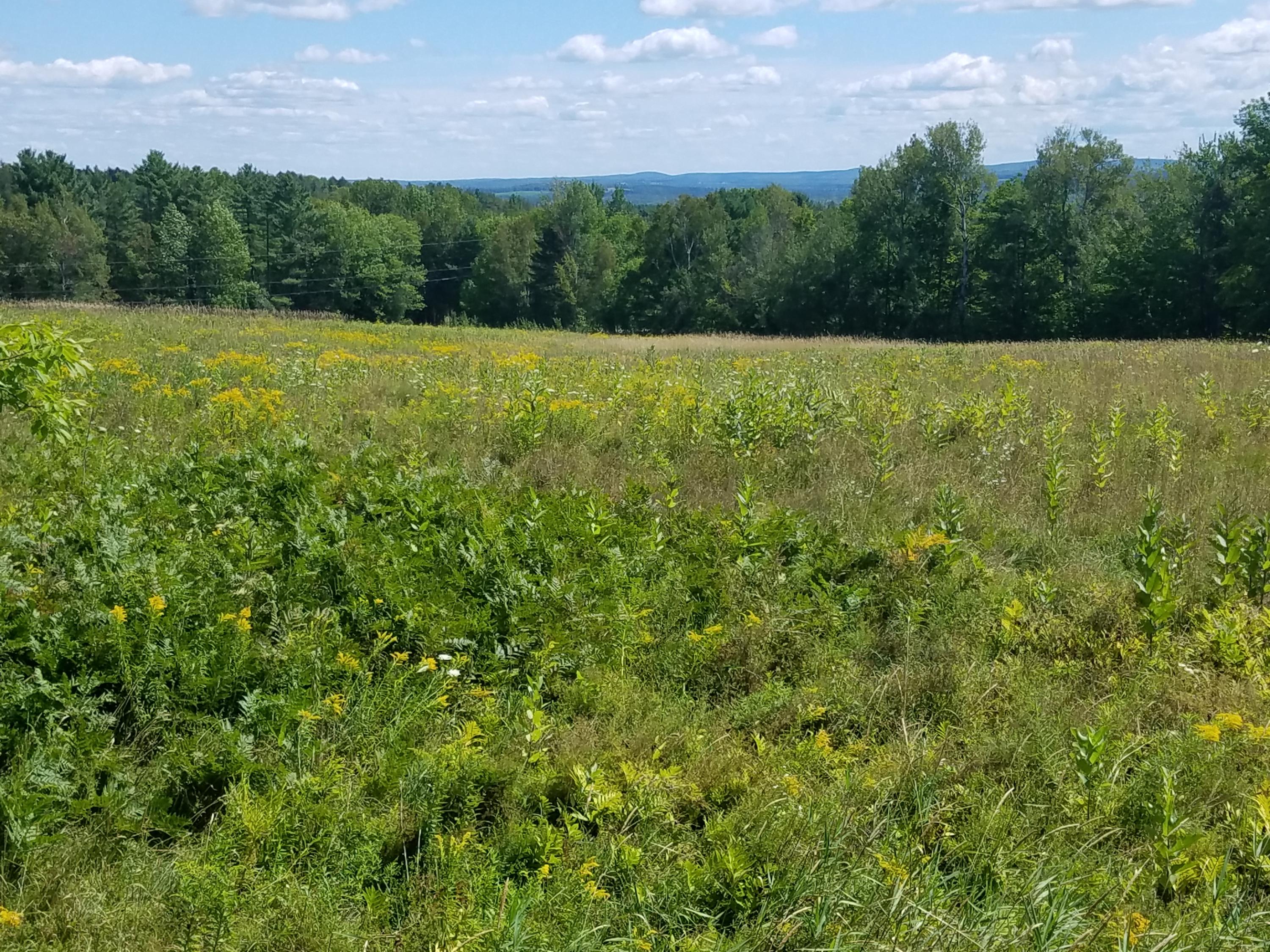 Lot 20 Holmes Road Dover-Foxcroft, ME 04426 - Photo 1 of 18 views dover-foxcroft