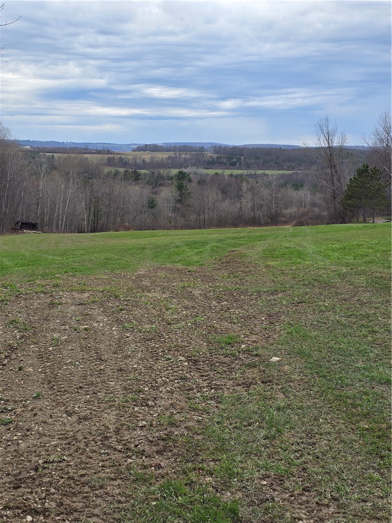 4833 Coss Corners Road Cameron, NY 14819 - Photo 29 of 39