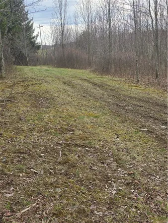 $145,000 | 4833 Coss Corners Road, Cameron, NY 14819