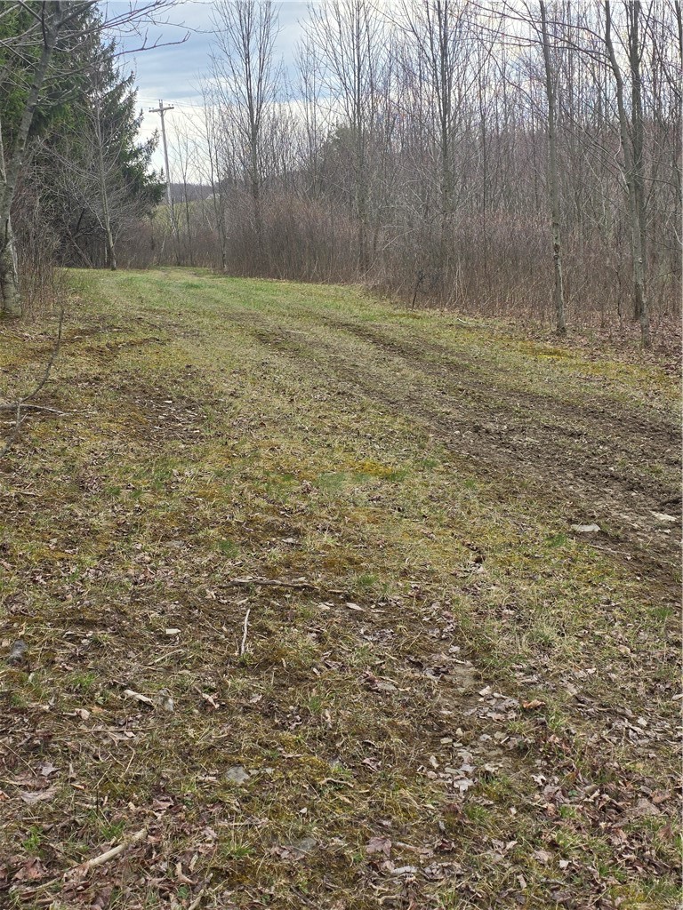 4833 Coss Corners Road Cameron, NY 14819 - Photo 30 of 39