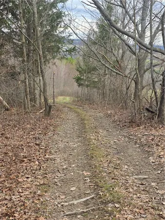 $145,000 | 4833 Coss Corners Road, Cameron, NY 14819