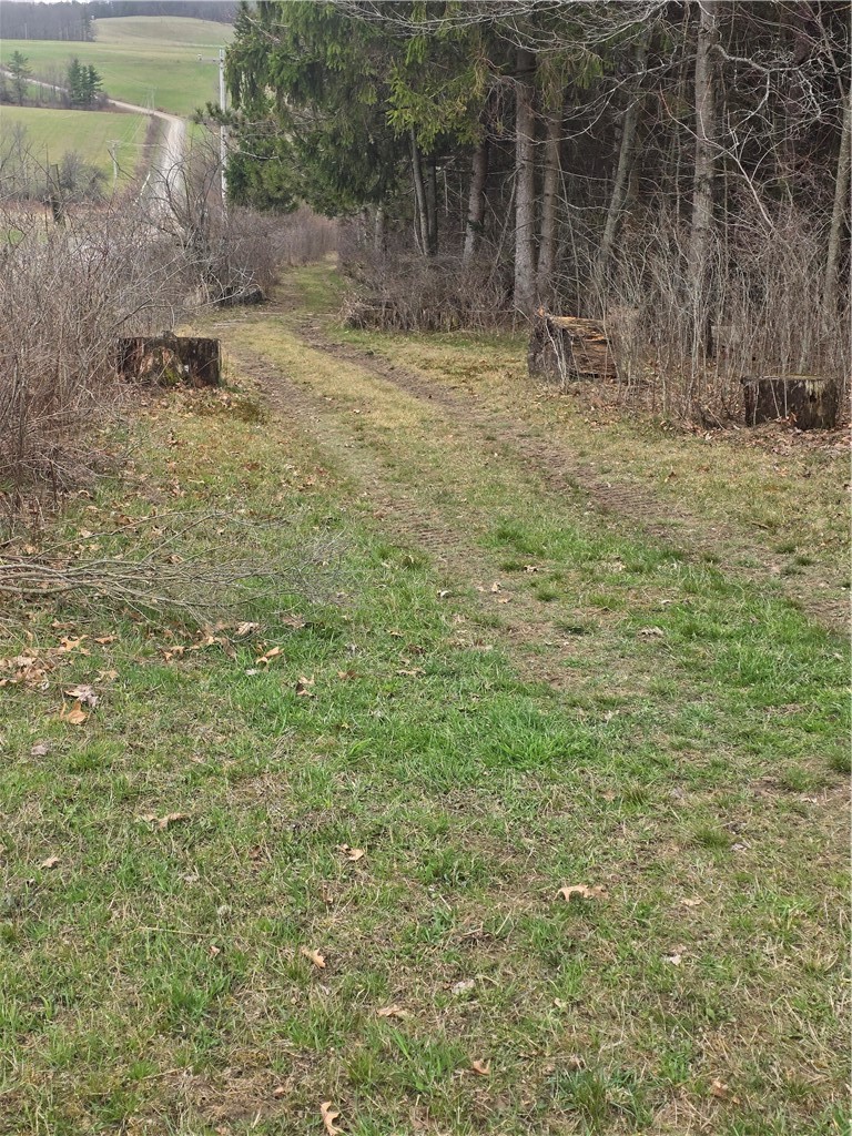 4833 Coss Corners Road Cameron, NY 14819 - Photo 32 of 39