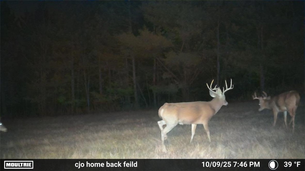 4833 Coss Corners Road Cameron, NY 14819 - Photo 33 of 39