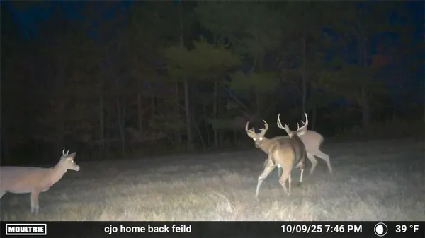 $145,000 | 4833 Coss Corners Road, Cameron, NY 14819