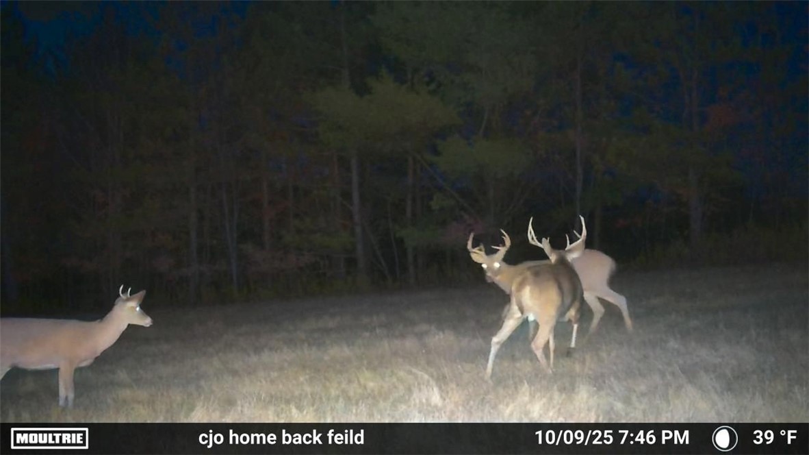 4833 Coss Corners Road Cameron, NY 14819 - Photo 34 of 39