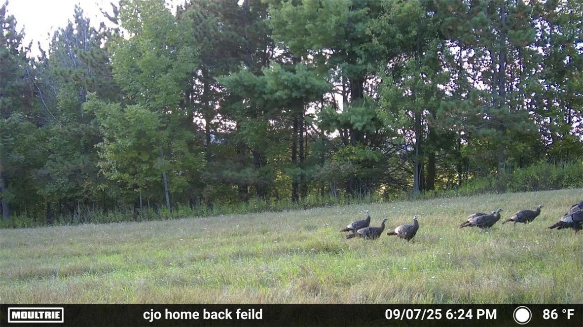 4833 Coss Corners Road Cameron, NY 14819 - Photo 35 of 39