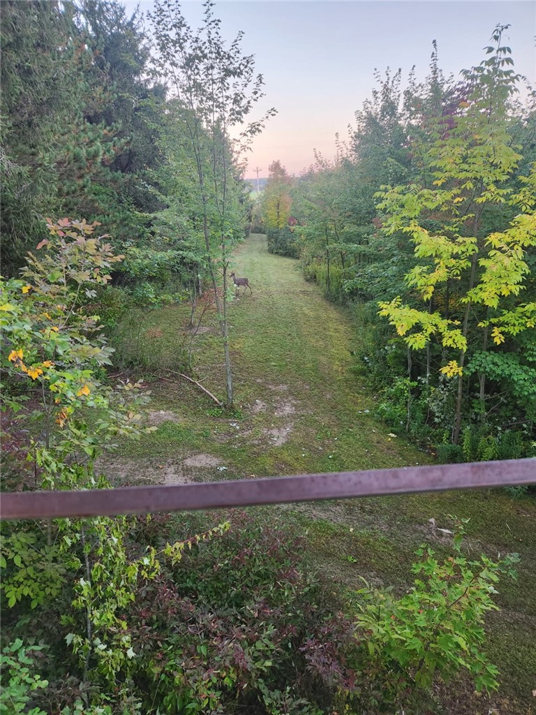 4833 Coss Corners Road Cameron, NY 14819 - Photo 36 of 39